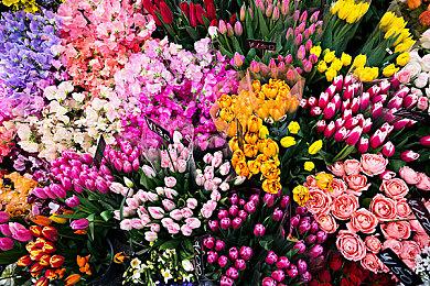 《女神异闻录5皇家版》Steam“好评如潮” 玩家：P5天下第一